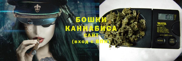 хмурый Бородино