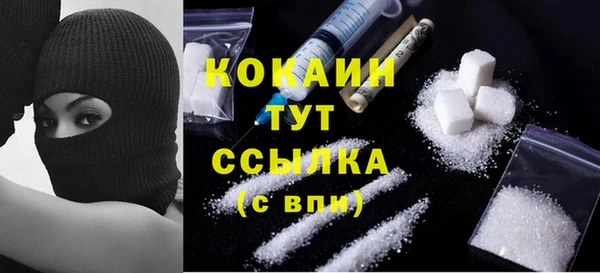 хмурый Бородино