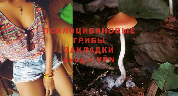 крисы Бугульма