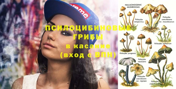 крисы Бугульма