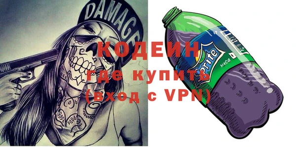 хмурый Бородино