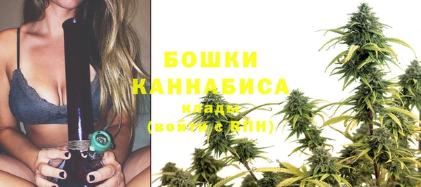 хмурый Бородино