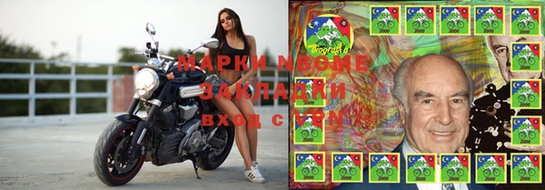 крисы Бугульма