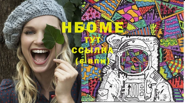 хмурый Бородино