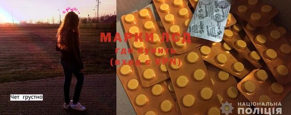 хмурый Бородино