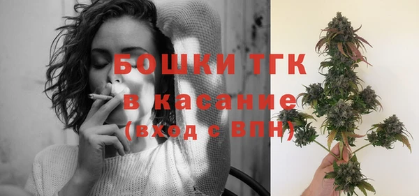 хмурый Бородино